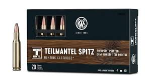 223 Rem RWS  55 gr SP
