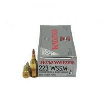 223 WSSM Winchester Power Point 64 gr